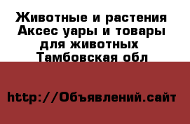 Животные и растения Аксесcуары и товары для животных. Тамбовская обл.